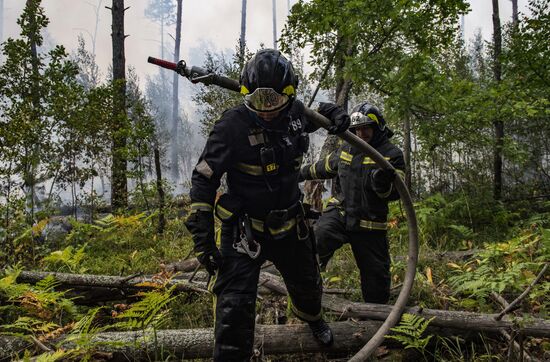 Russia Wildfires