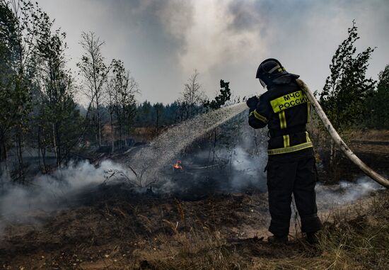 Russia Wildfires