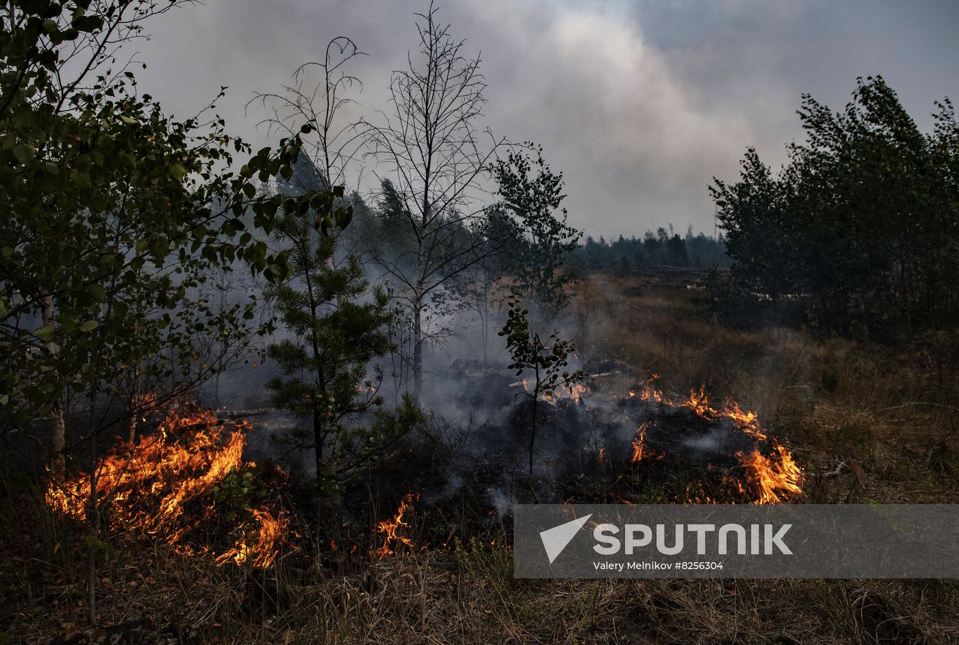 Russia Wildfires