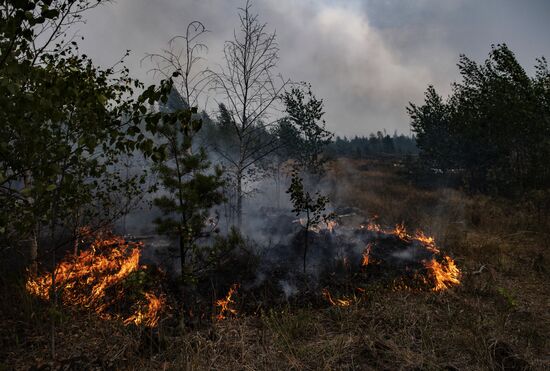 Russia Wildfires