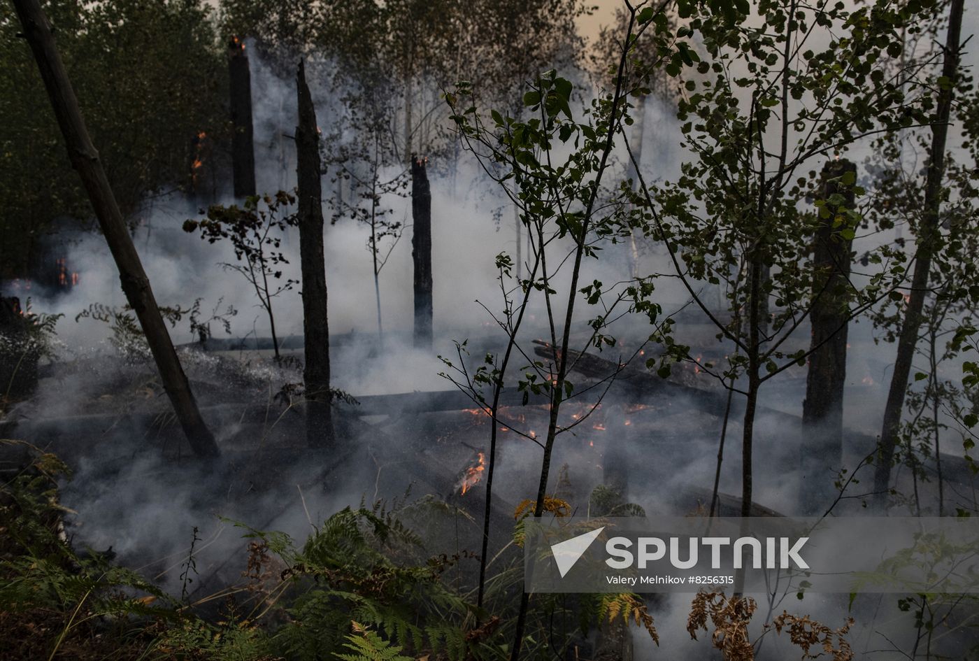 Russia Wildfires