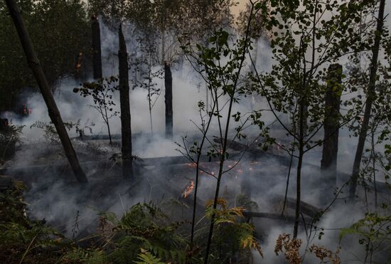 Russia Wildfires
