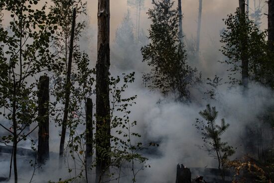 Russia Wildfires