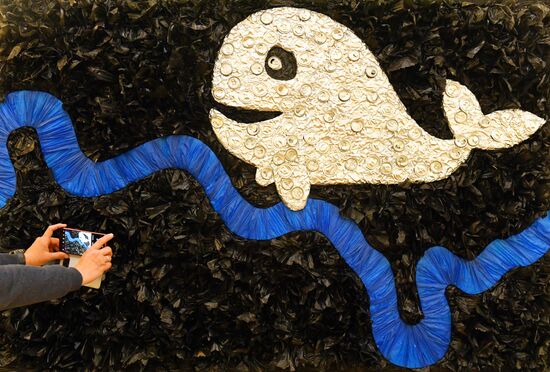 Art Cachalot Recycled Trash Exhibition
