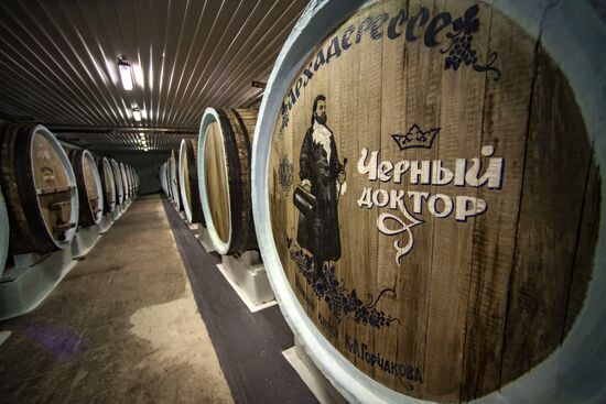 Russia Crimea Winegrowing
