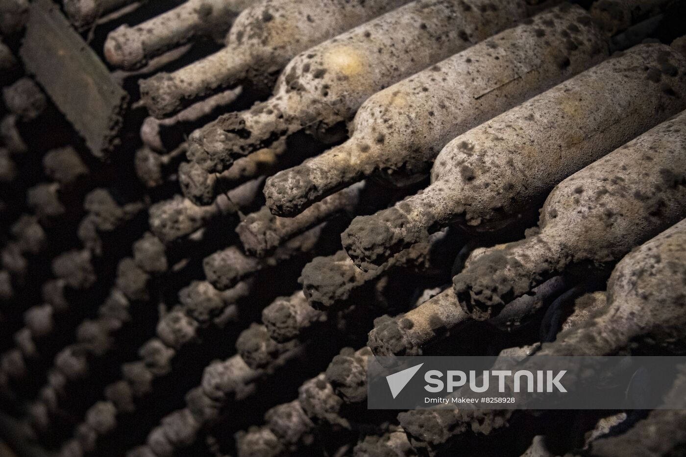 Russia Crimea Winegrowing