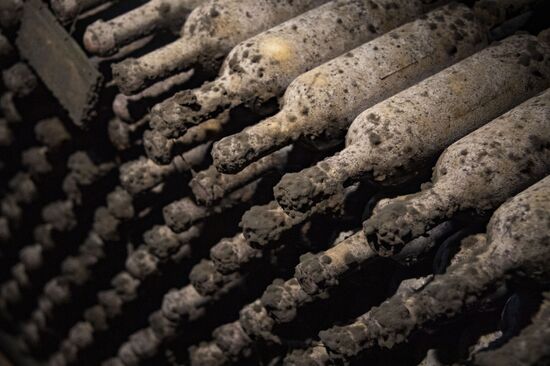 Russia Crimea Winegrowing