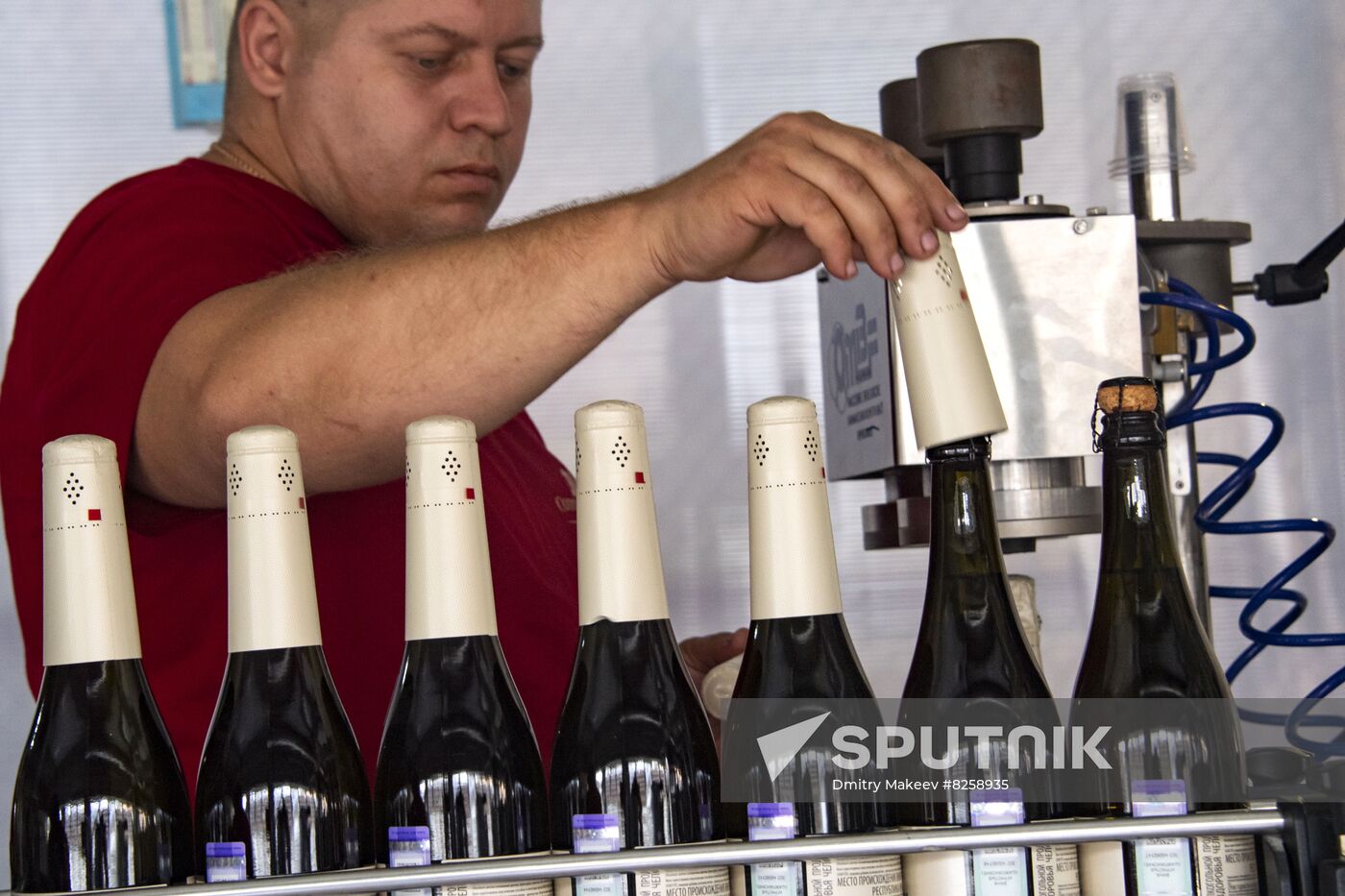 Russia Crimea Winegrowing