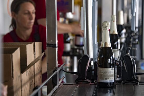 Russia Crimea Winegrowing