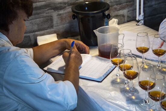 Russia Crimea Winegrowing