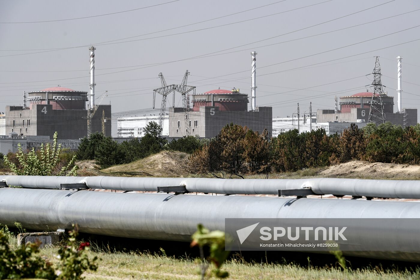 Ukraine Russia Military Operation Nuclear Plant
