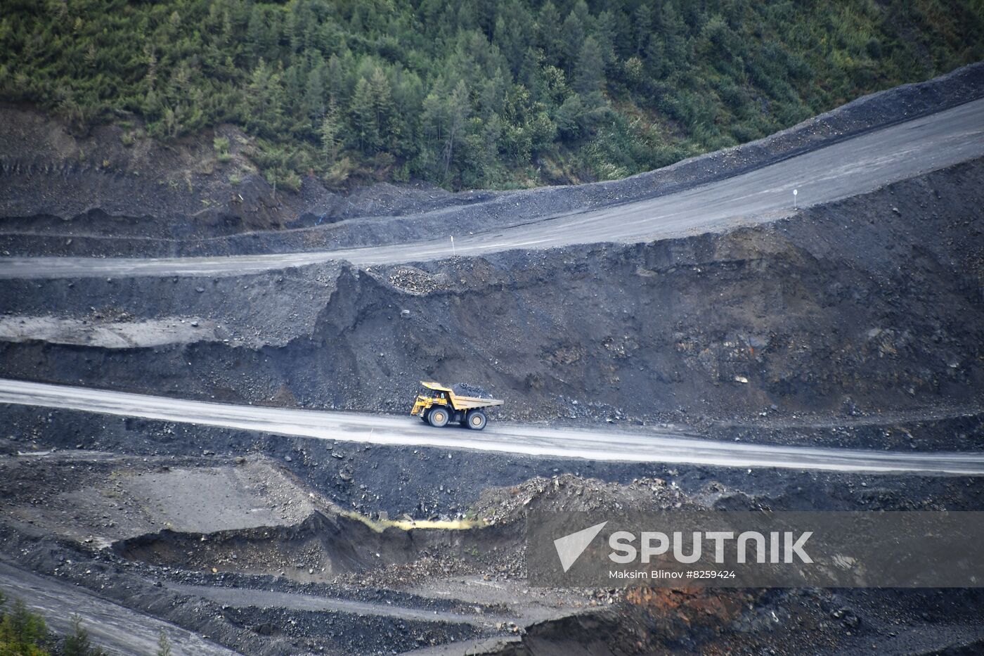 Rissia Gold Mining