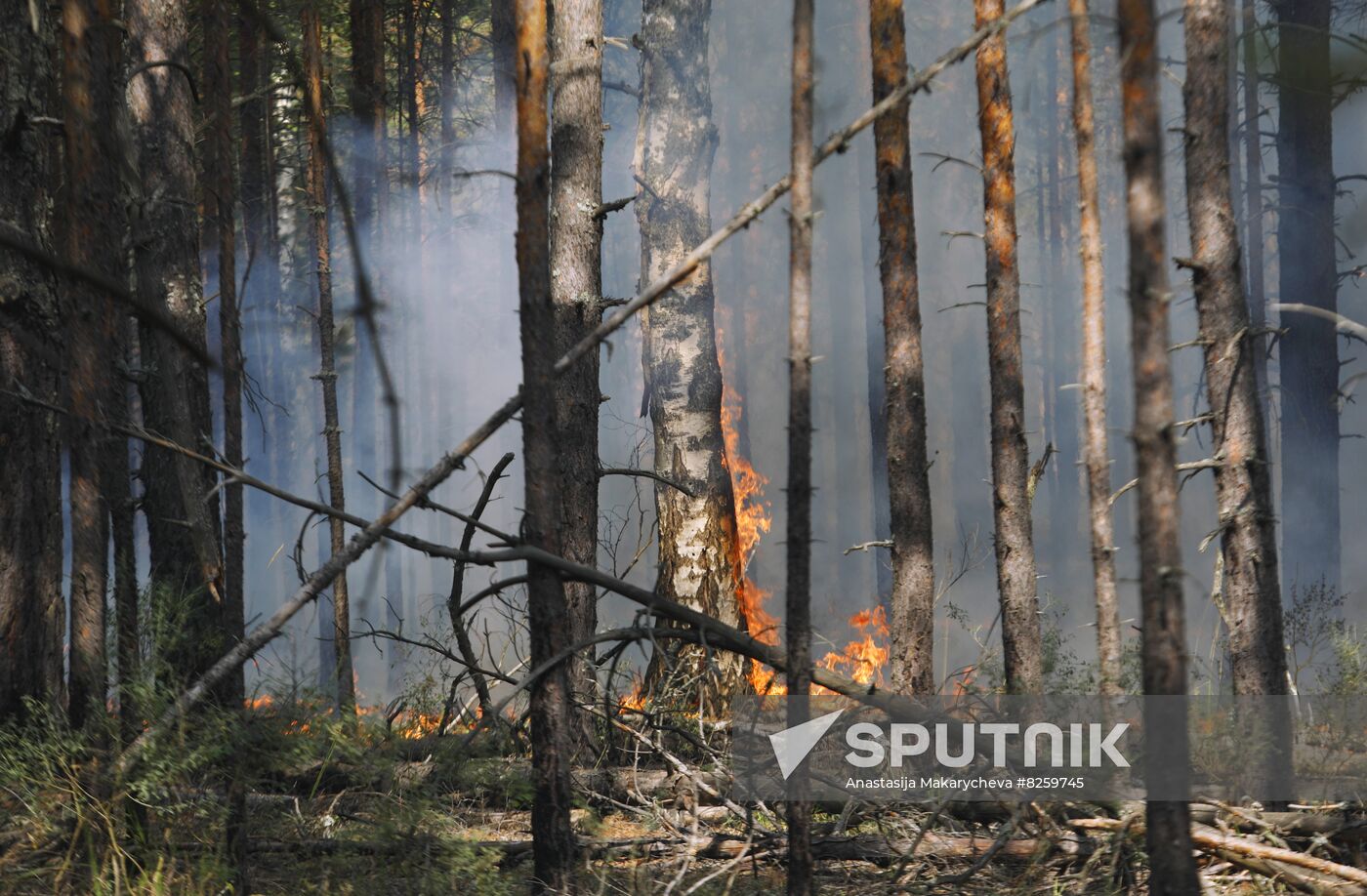 Russia Wildfires