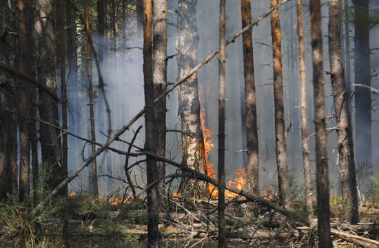 Russia Wildfires