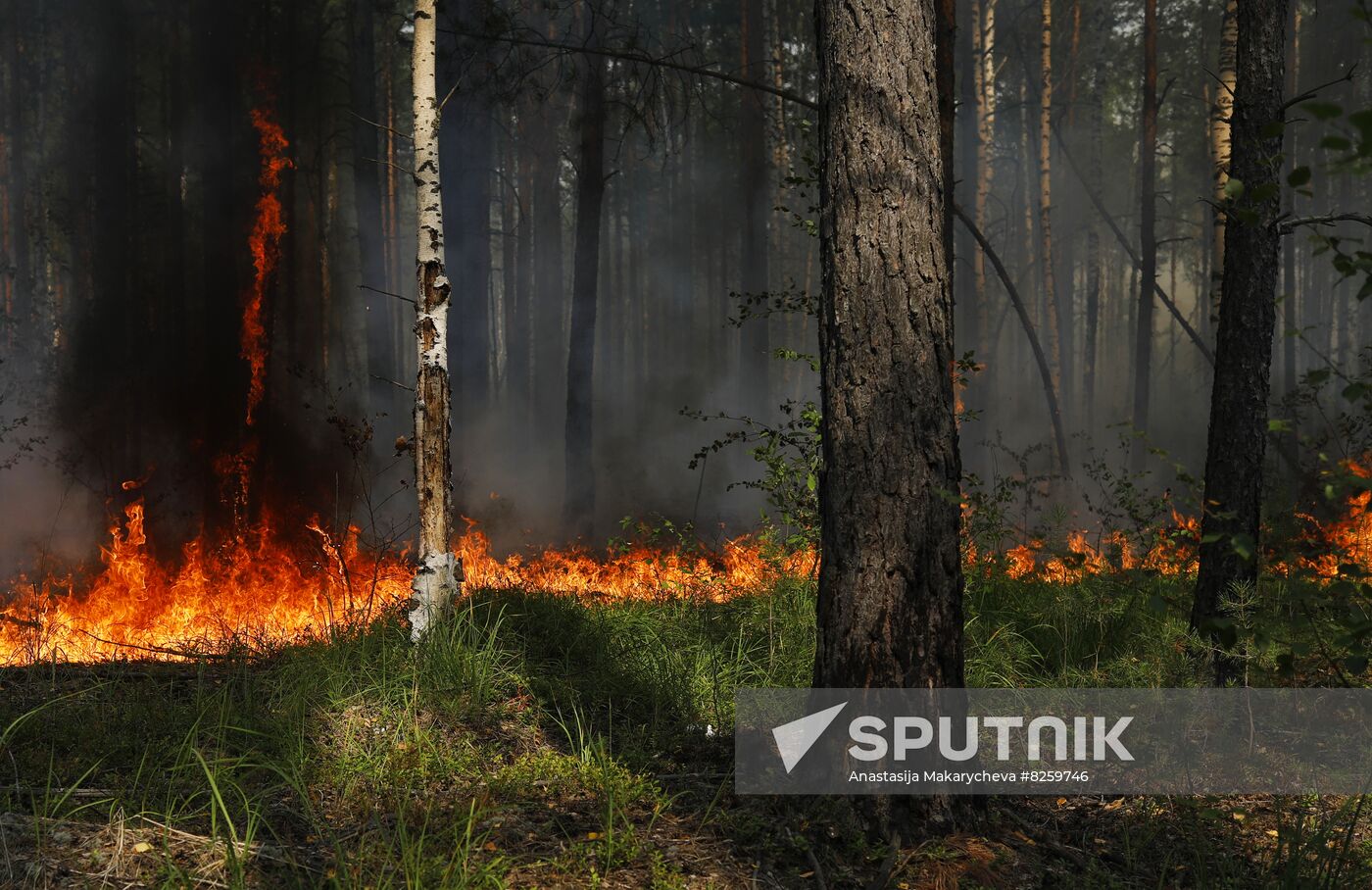Russia Wildfires