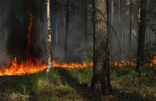 Russia Wildfires