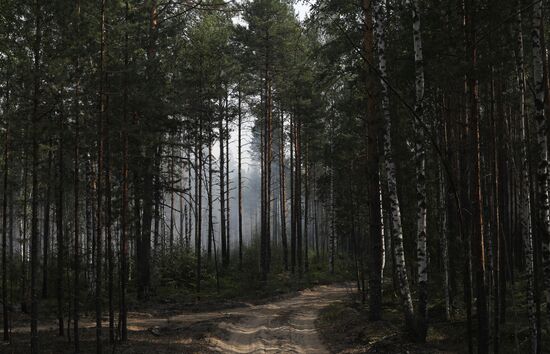 Russia Wildfires