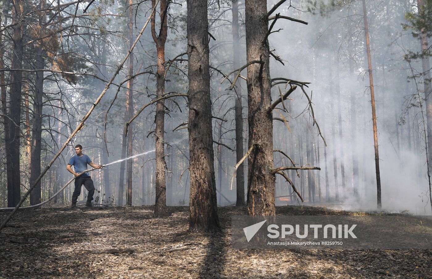 Russia Wildfires