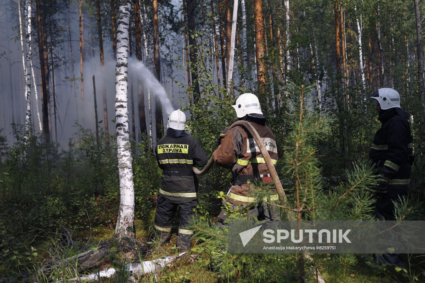 Russia Wildfires