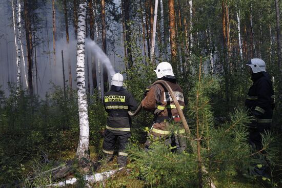 Russia Wildfires