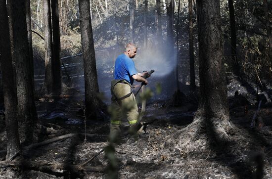 Russia Wildfires