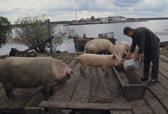 Special regime penitentiary No.5