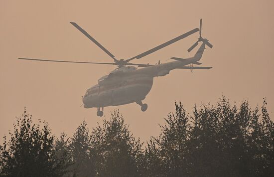 Russia Wildfires