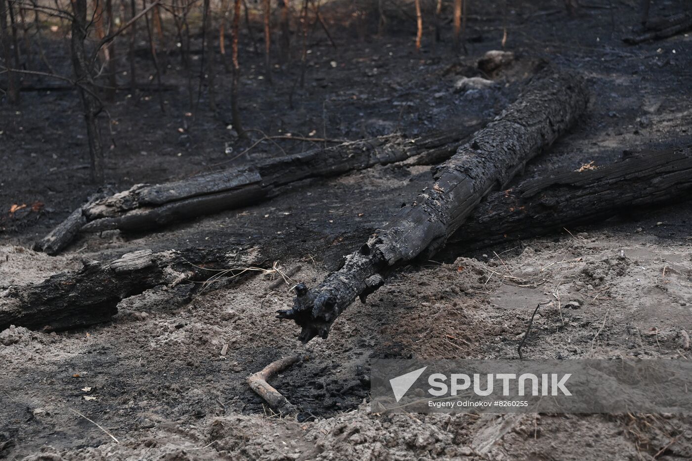 Russia Wildfires