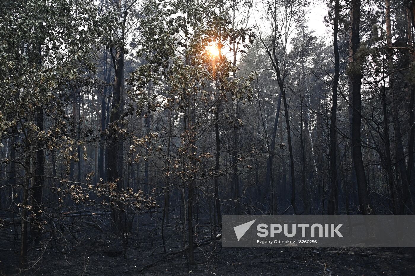 Russia Wildfires