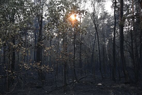 Russia Wildfires