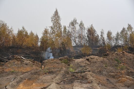Russia Wildfires