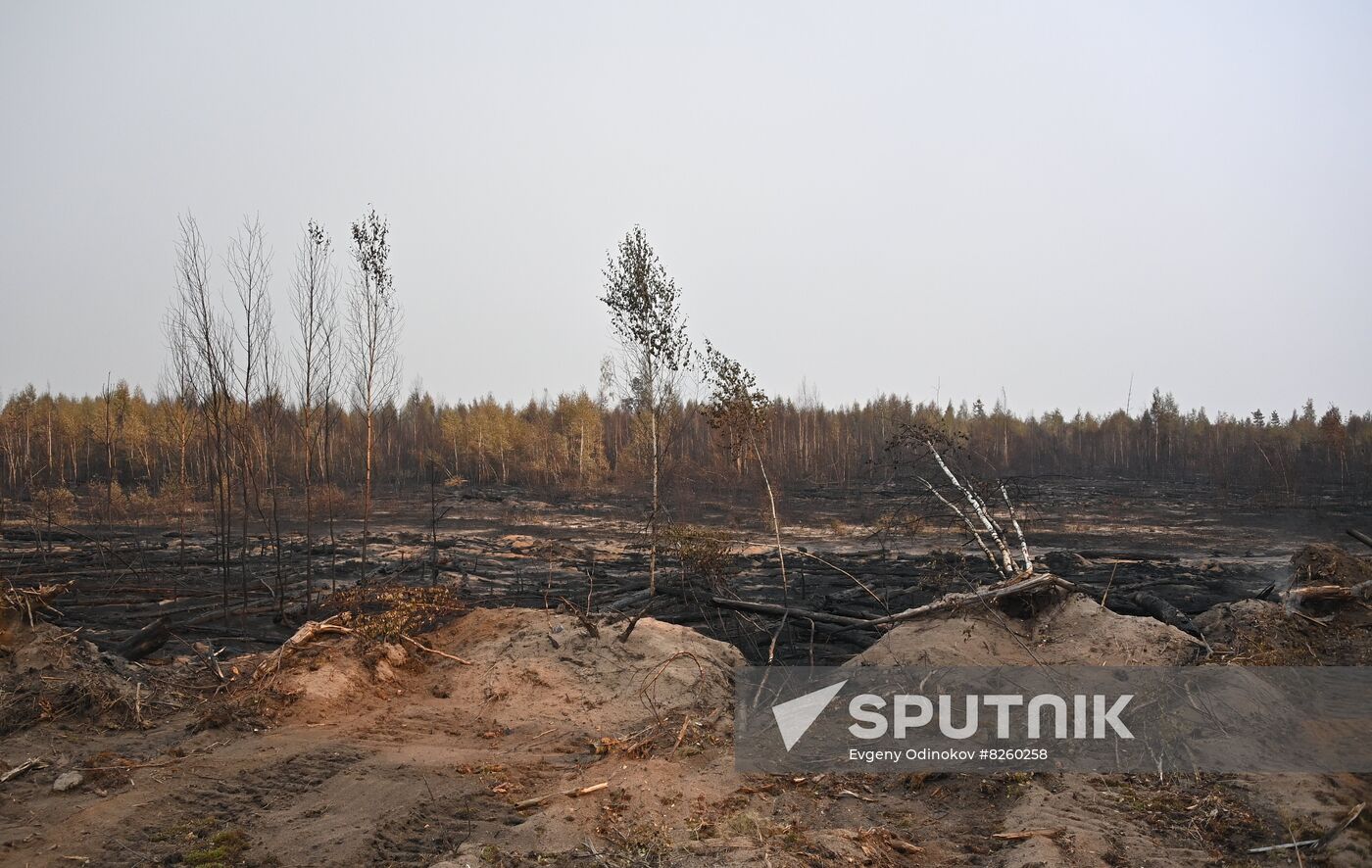 Russia Wildfires