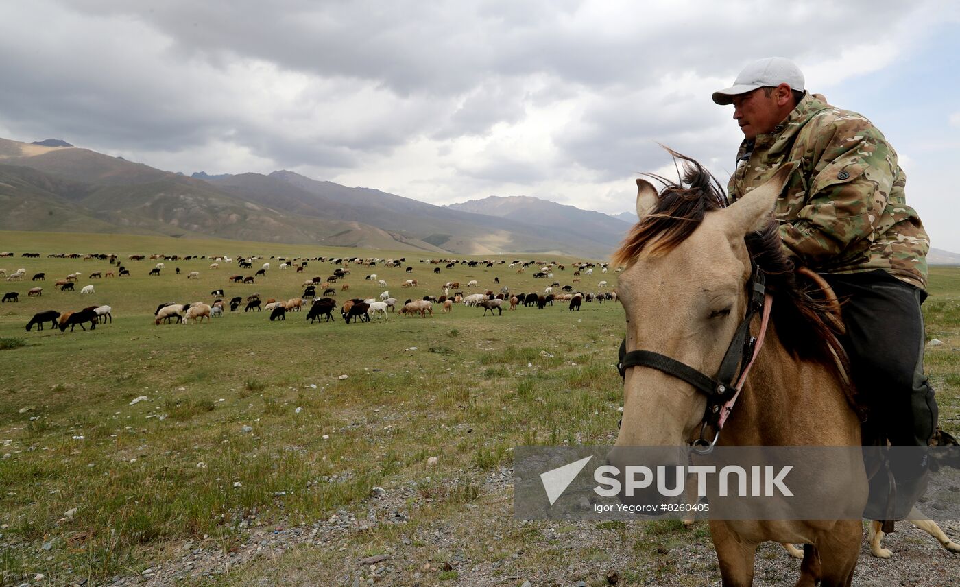 Kyrgyzstan Nomadic Camp