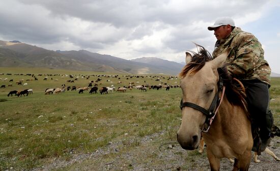 Kyrgyzstan Nomadic Camp