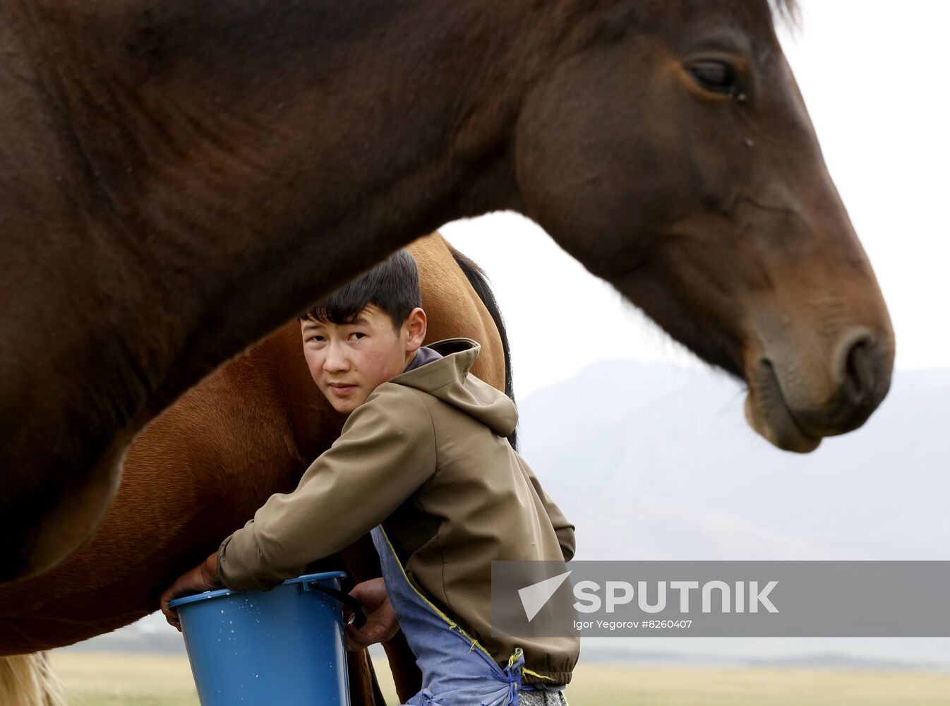 Kyrgyzstan Nomadic Camp