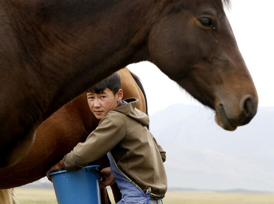Kyrgyzstan Nomadic Camp