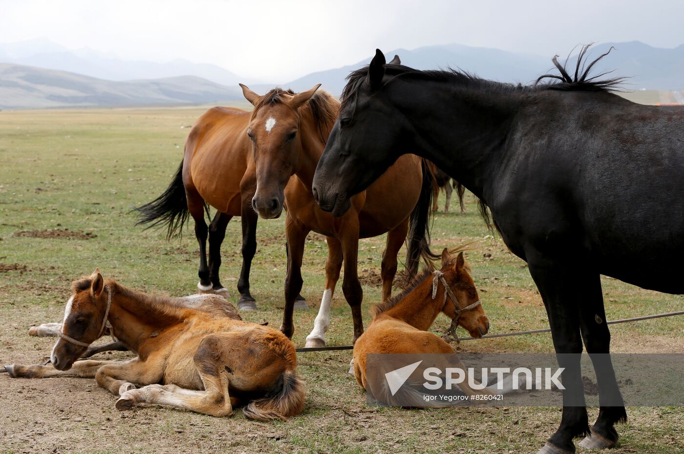 Kyrgyzstan Nomadic Camp