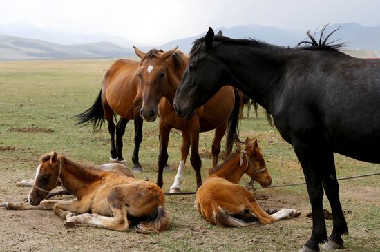 Kyrgyzstan Nomadic Camp
