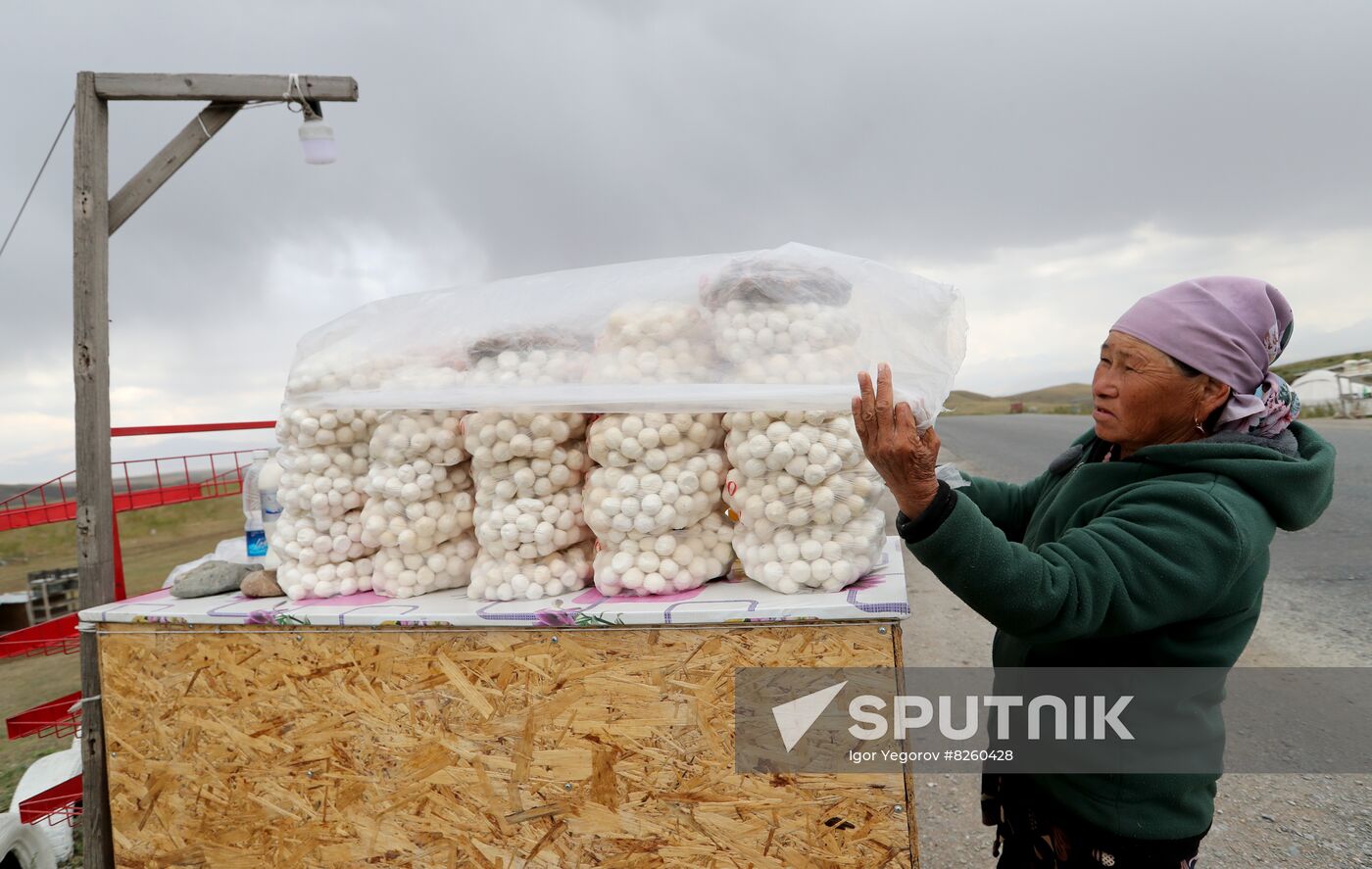 Kyrgyzstan Nomadic Camp