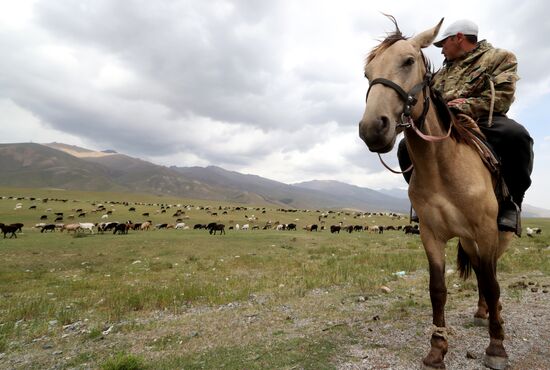 Kyrgyzstan Nomadic Camp