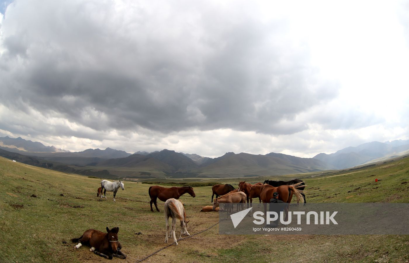 Kyrgyzstan Nomadic Camp