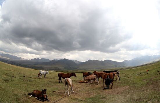 Kyrgyzstan Nomadic Camp