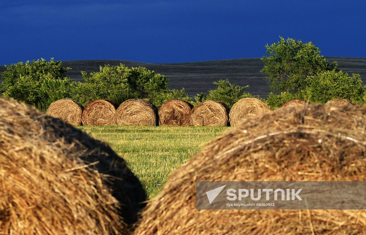 Russia Siberia Tourism