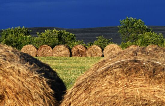 Russia Siberia Tourism