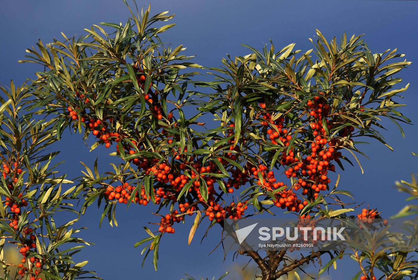 Russia Siberia Tourism