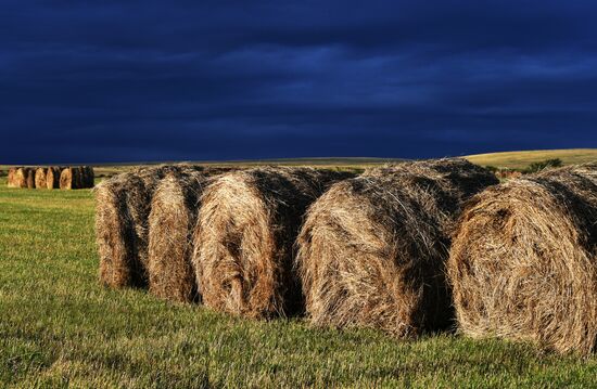 Russia Siberia Tourism