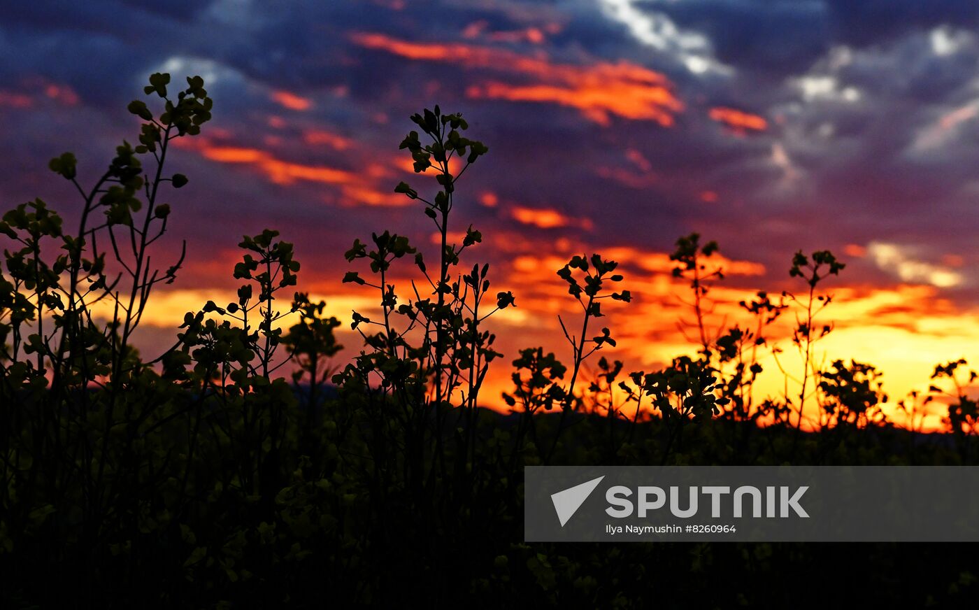 Russia Siberia Tourism