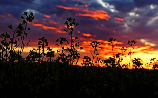 Russia Siberia Tourism