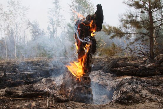 Russia Wildfires