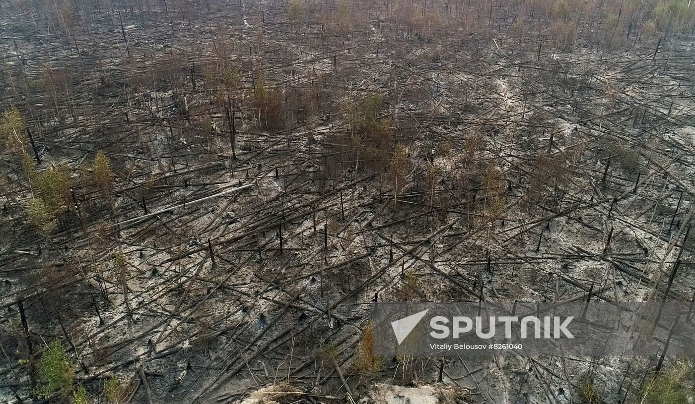 Russia Wildfires